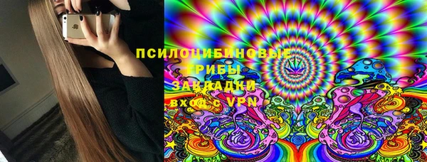 прущие грибы Балахна
