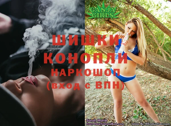 прущие грибы Балахна