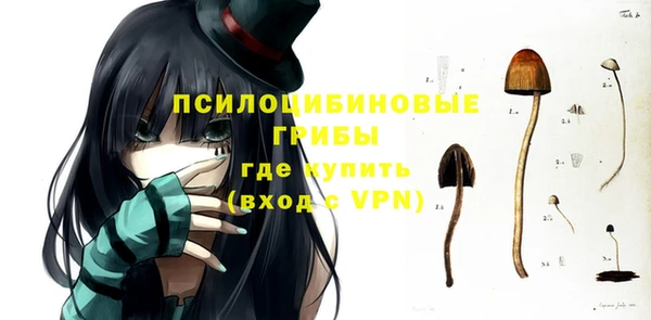 тгк Каменск-Шахтинский