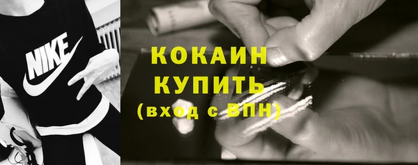 прущие грибы Балахна