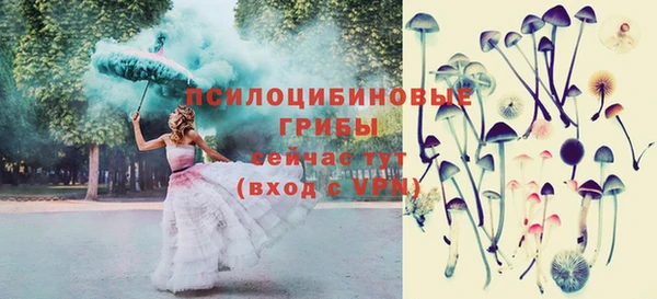 прущие грибы Балахна