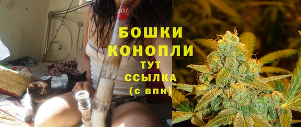 прущие грибы Балахна