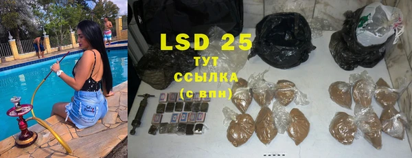 прущие грибы Балахна