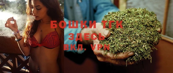 прущие грибы Балахна