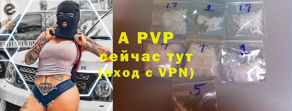 прущие грибы Балахна