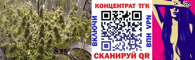 ТГК концентрат  Ладушкин 